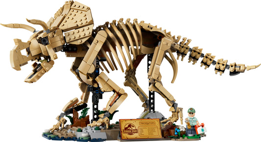 77985 Dinosaurier-Fossilien: Triceratops