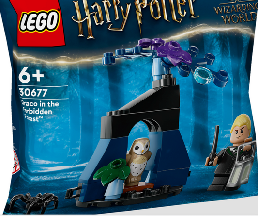 30677 LEGO Harry Potter Draco im Verbotenen Wald mit Eule und viel Zubehör